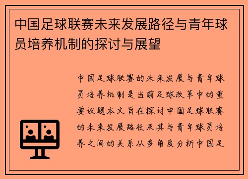 中国足球联赛未来发展路径与青年球员培养机制的探讨与展望