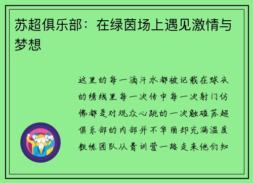 苏超俱乐部：在绿茵场上遇见激情与梦想