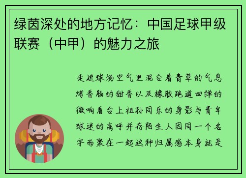 绿茵深处的地方记忆：中国足球甲级联赛（中甲）的魅力之旅